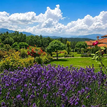 магнолия Holiday home